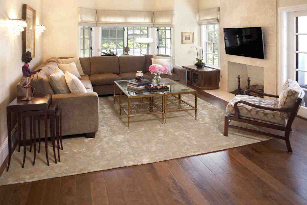 lush living room area rug