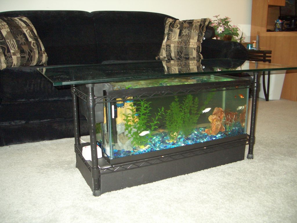 Aquarium Coffee Table For Sale Roy Home Design