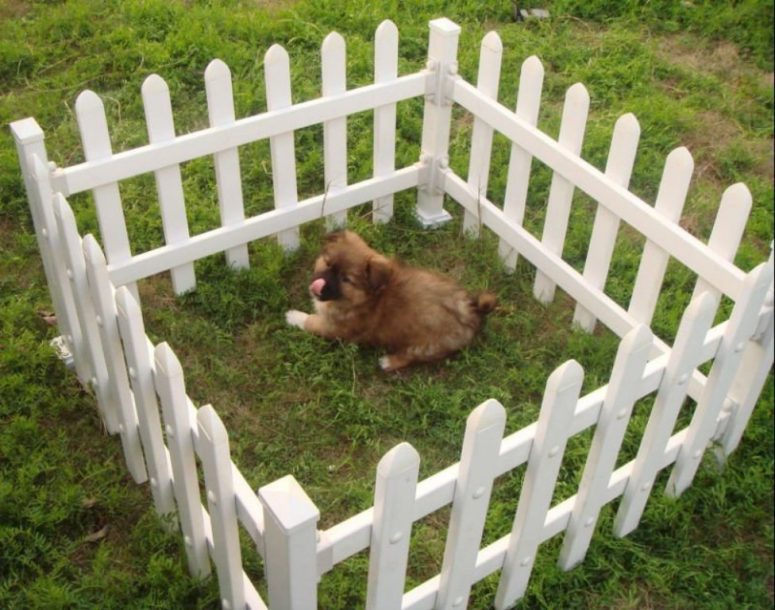 Cheap Fence Ideas For Dogs In DIY Reusable And Portable Dog Fence Roy