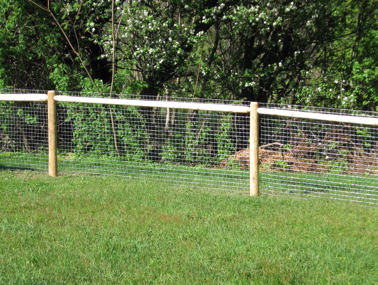 Cheap Fence Ideas For Dogs In DIY Reusable And Portable ...