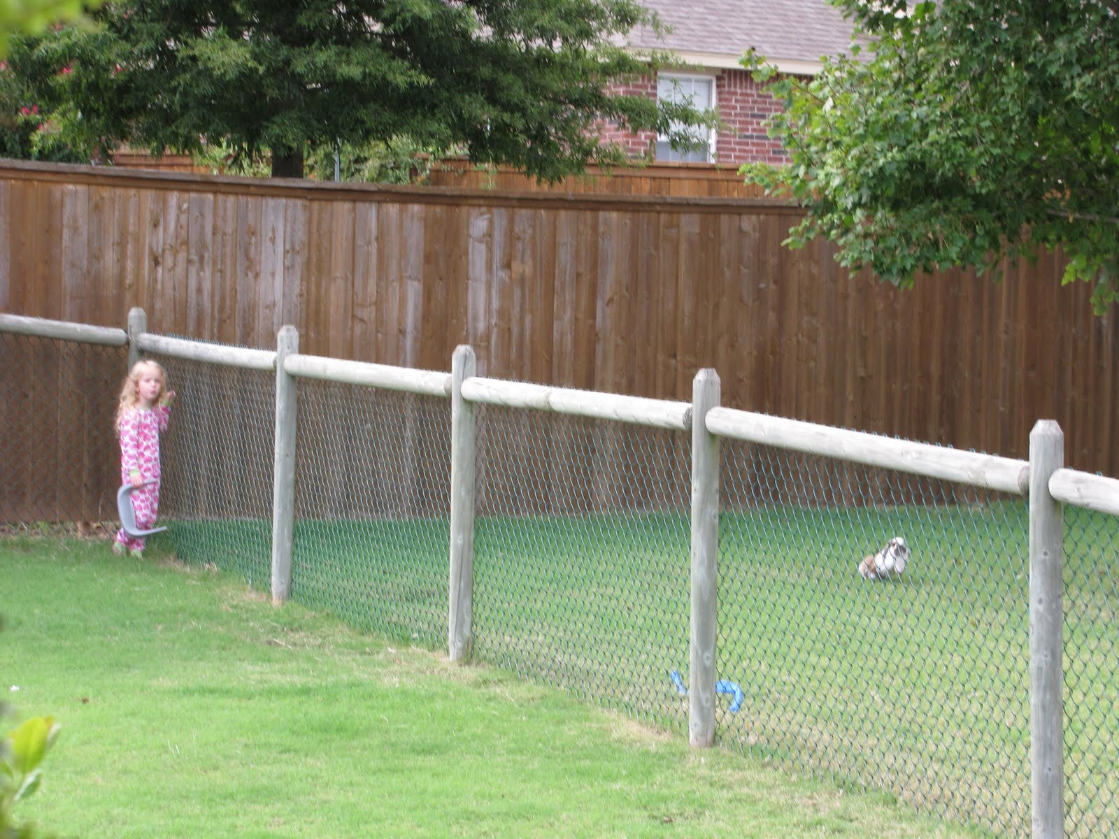 Outdoor Fence Ideas For Dogs - Wires & Decors