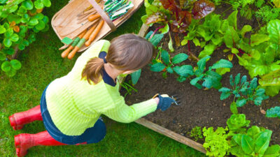 a-girl-plant-vegetables-on-her-vegetable-home-garden-to-get-healthy-and-fresh-vegetables