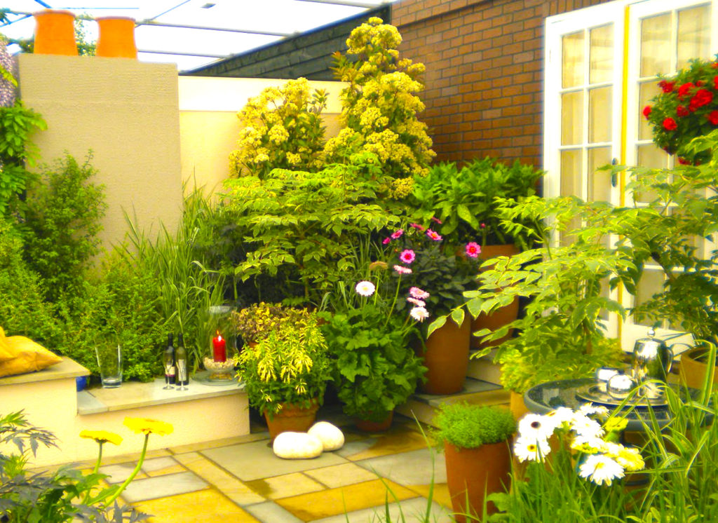 small-garden-is-the-best-home-improvements-and-innovative-home-improvements