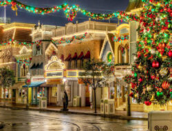 Tips to Install Outdoor Christmas Lights