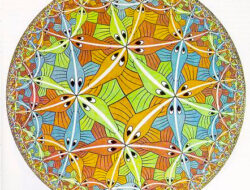 Rectangular ceramic tiles, round ceramic tiles, hexagonal tiles, border tiles for floor and wall tiles for home design ceramic ideas