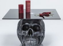 skull coffee table 11