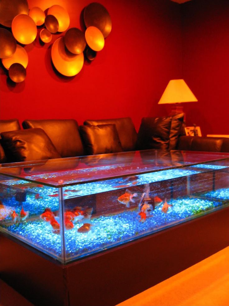 Aquarium Coffee Table For Sale | Roy Home Design