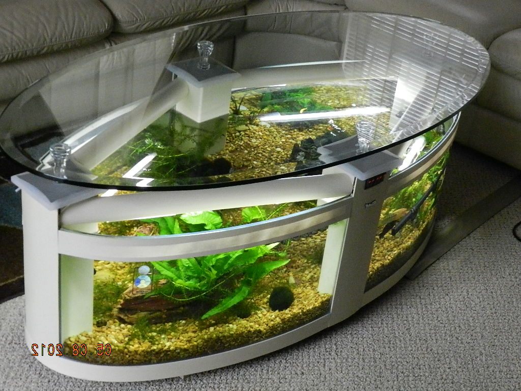 fish tank coffee table for sale 04