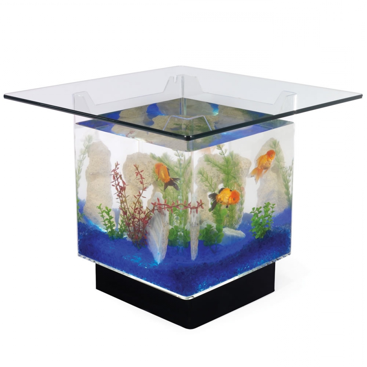 Fish Tank Coffee Table for Sale Roy Home Design