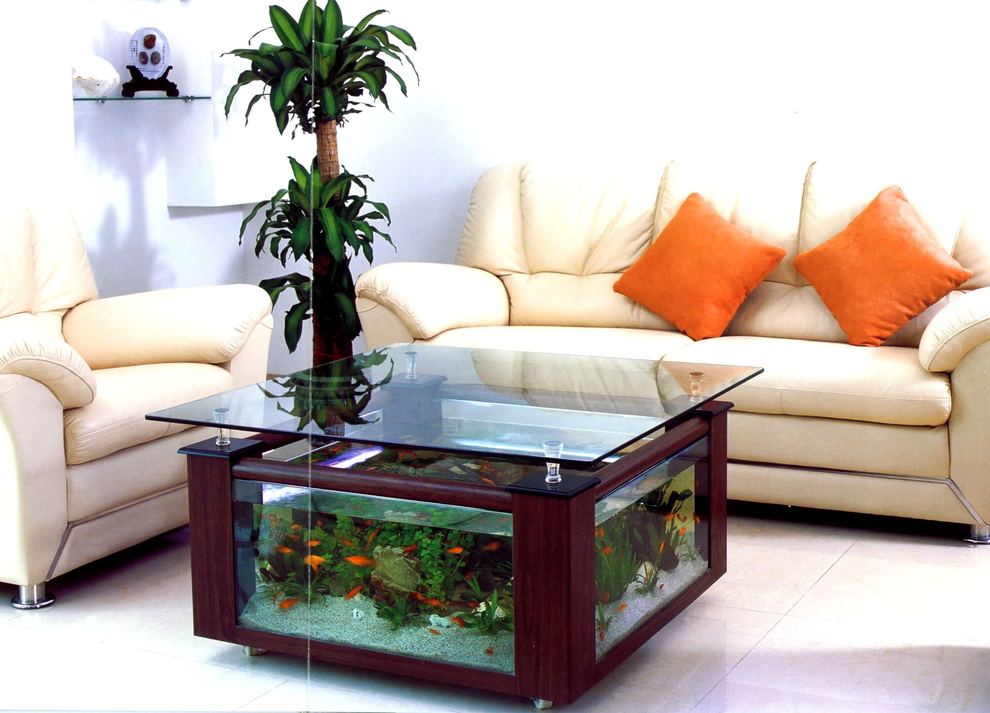 Fish Tank Coffee Table for Sale | Roy Home Design