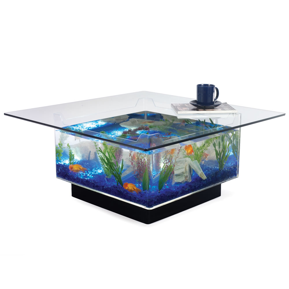 Fish Tank Coffee Table for Sale | Roy Home Design