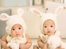 The Tips on Choosing Crib for Twins Baby | Roy Home Design