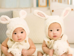 The Tips on Choosing Crib for Twins Baby | Roy Home Design