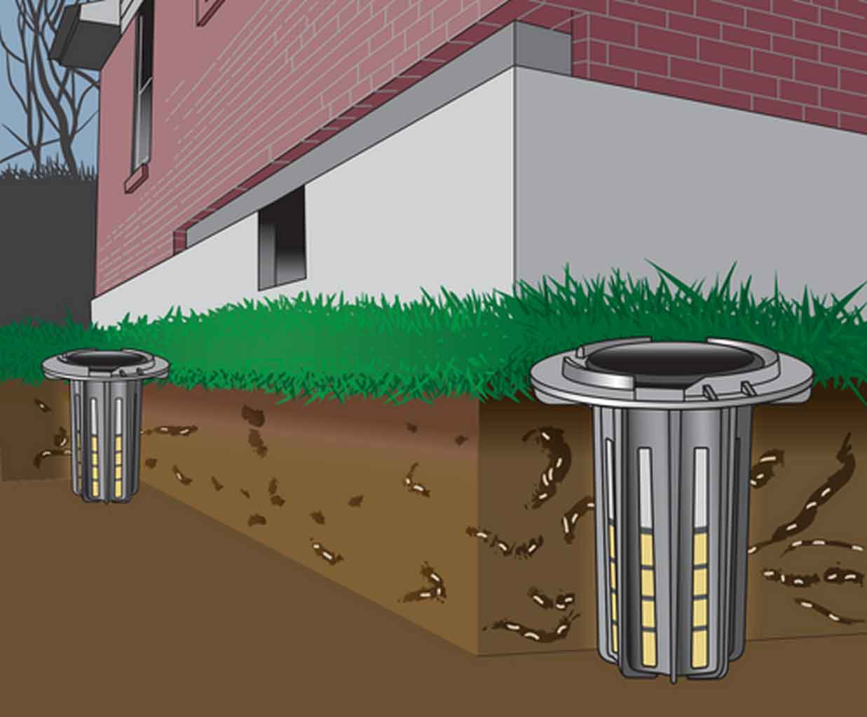 Baiting System, a Major DIY Termite Control You Can Try At Home | Roy Home Design