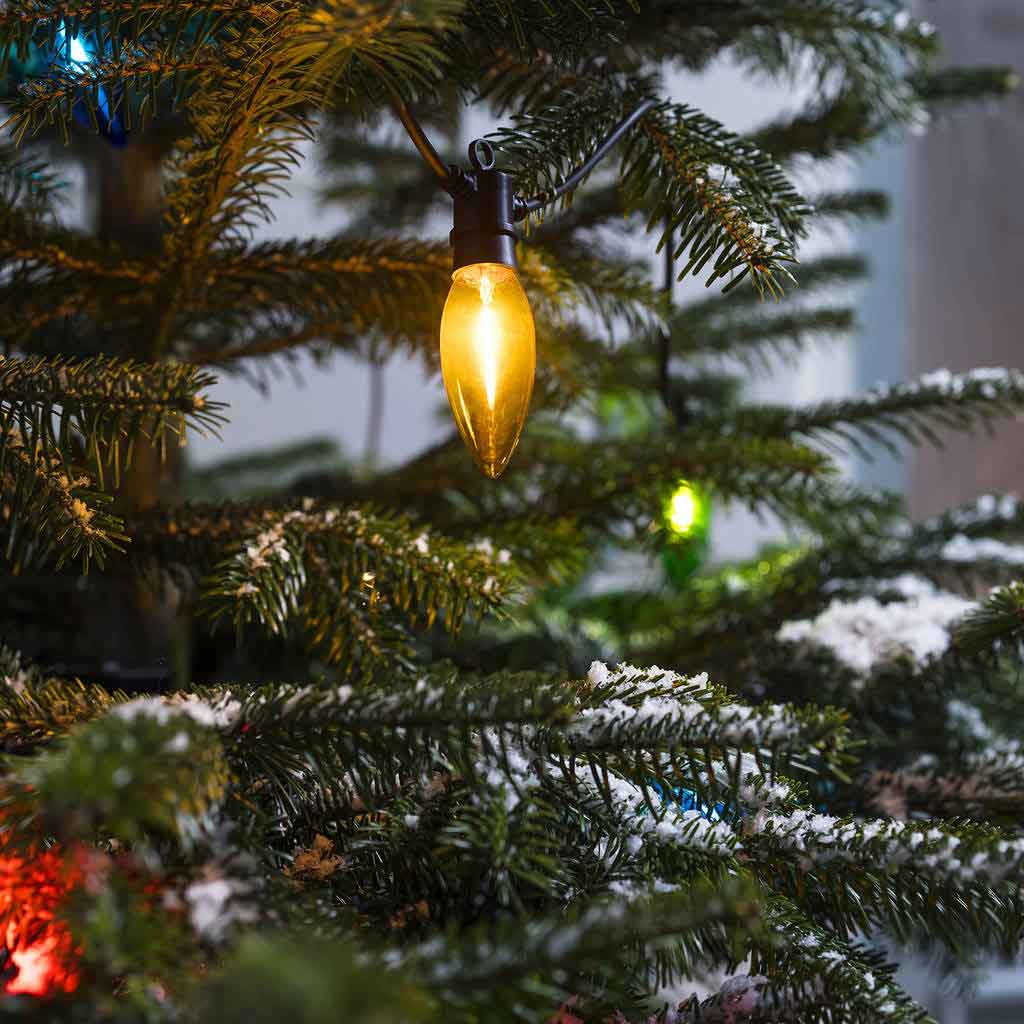 Find Out Different Type Of Christmas Tree Light Bulbs To Add Different Aesthetic | Roy Home Design