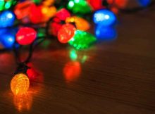 Find Out Different Type Of Christmas Tree Light Bulbs To Add Different Aesthetic | Roy Home Design