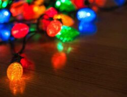 Find Out Different Type Of Christmas Tree Light Bulbs To Add Different Aesthetic | Roy Home Design
