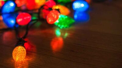 Find Out Different Type Of Christmas Tree Light Bulbs To Add Different Aesthetic | Roy Home Design