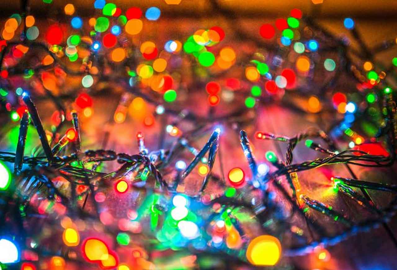 Find Out Different Type Of Christmas Tree Light Bulbs To Add Different Aesthetic | Roy Home Design