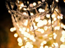 The 3 Replacement Christmas Tree Light Bulbs Types You Can Get | Roy Home Design