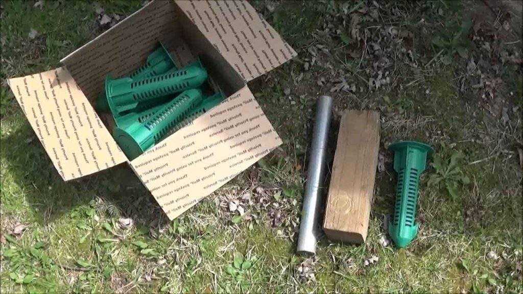 Baiting System, a Major DIY Termite Control You Can Try At Home