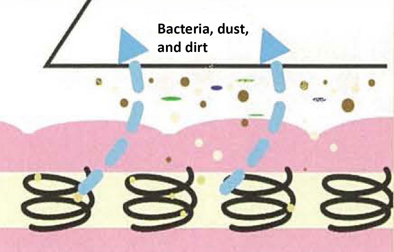 Removing Bed Dust Mites, Sleep Better, Healthy Living | Roy Home Design