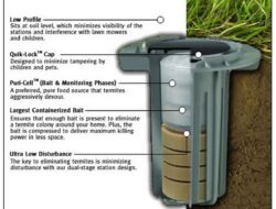 Baiting System, a Major DIY Termite Control You Can Try At Home | Roy Home Design