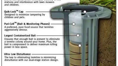 Baiting System, a Major DIY Termite Control You Can Try At Home | Roy Home Design