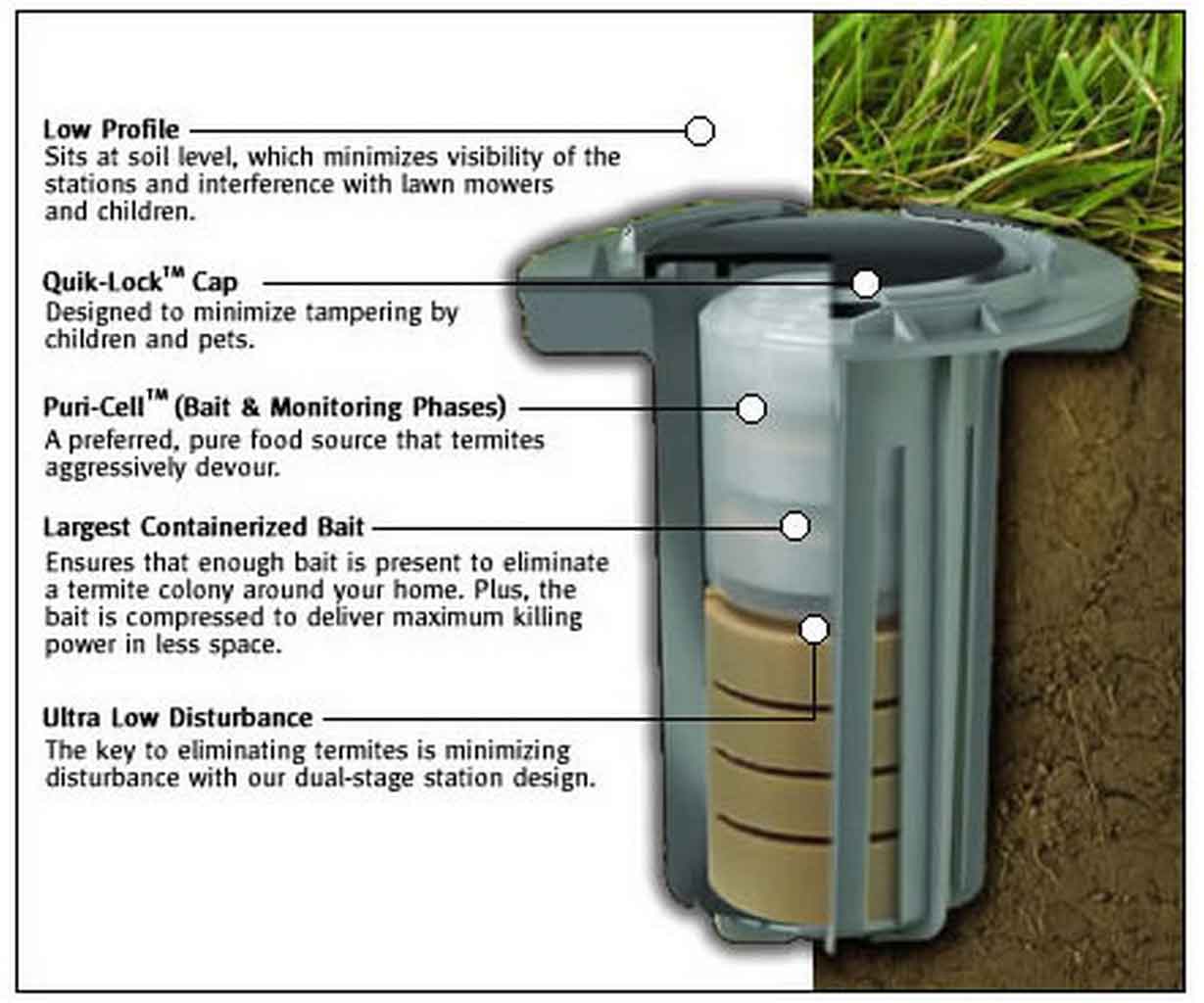 Baiting System, a Major DIY Termite Control You Can Try At Home | Roy Home Design