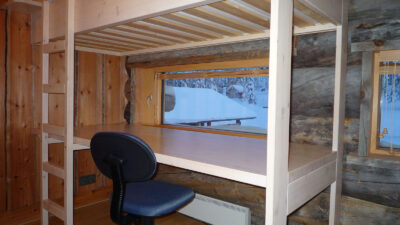 The Best Twin Bed with Desk Underneath You Might Want in This Year | Roy Home Design