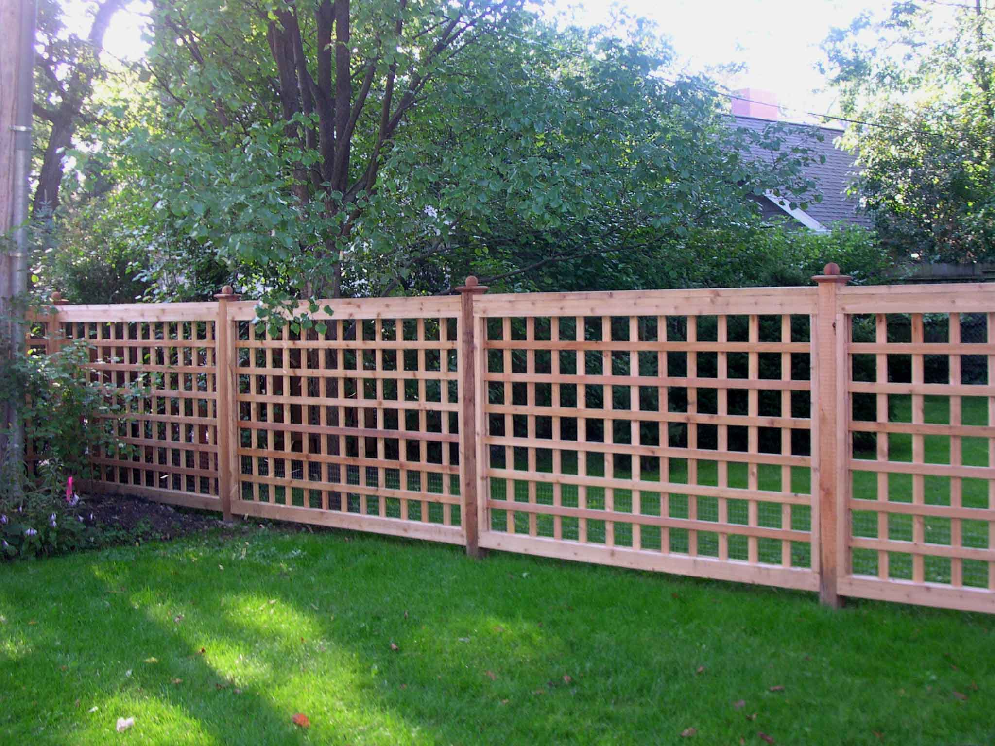 Cheap Easy Dog Fence NZ