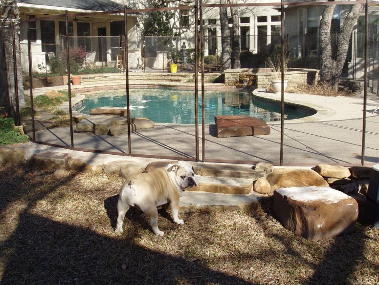 Cheap Easy Dog Fence With 3 Popular Dog Fence Options