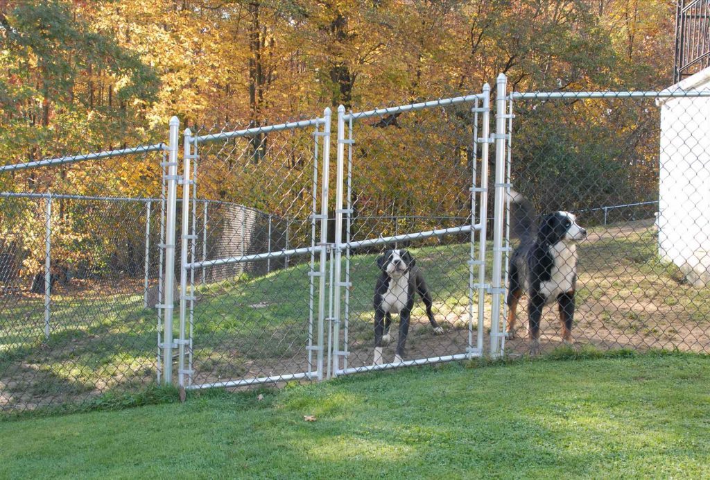 Cheap Fence Ideas For Dogs In DIY Reusable And Portable Dog Fence
