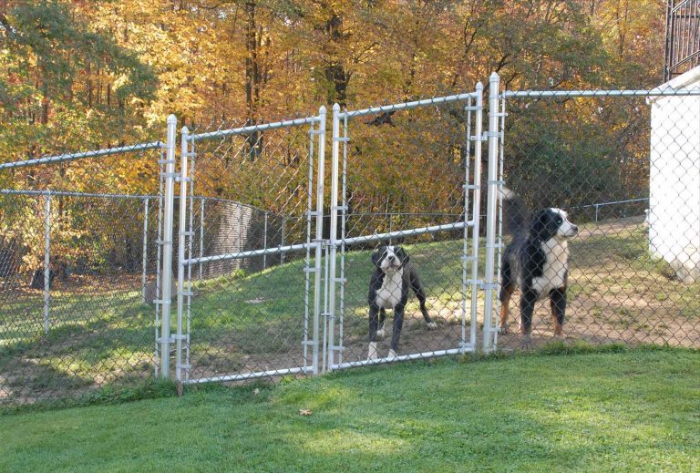 Cheap Fence Ideas For Dogs In DIY Reusable And Portable Dog Fence