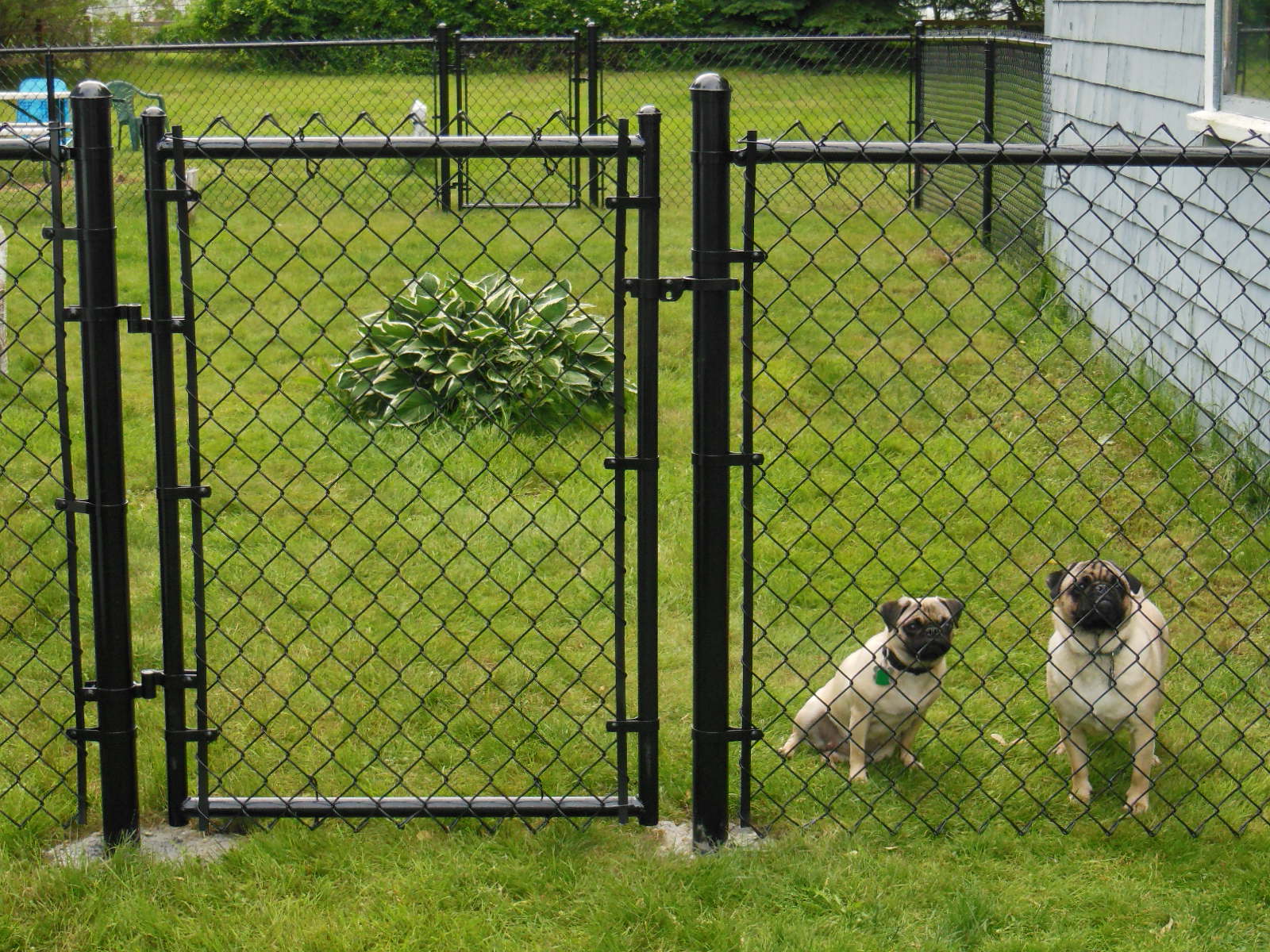 Cheap Fence Ideas For Dogs In DIY Reusable And Portable ...