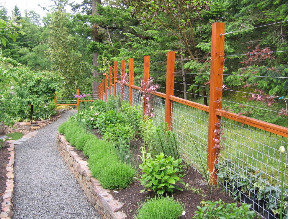 Cheap Fence Ideas For Dogs UK