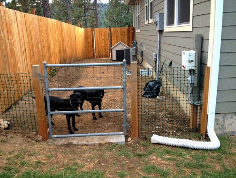 Dog Fences Outdoor DIY To Keep Your Dogs Secure
