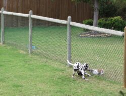 Dog Fences Outdoor DIY to Keep Your Dogs Secure