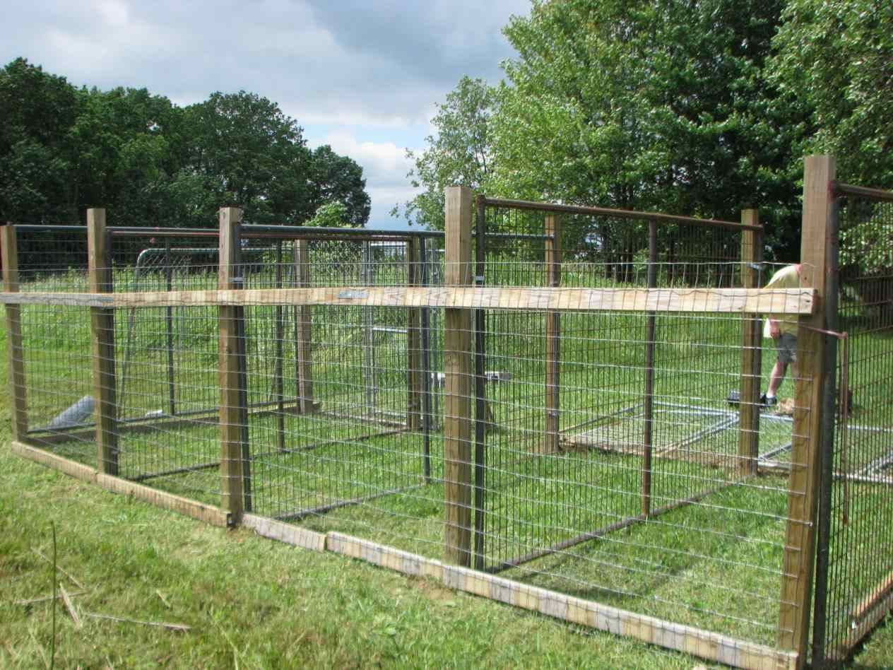 Dog Fences Outdoor Indoor for Sale