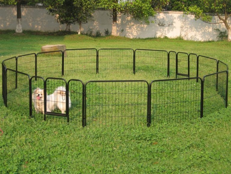 Dog Fences Outdoor DIY To Keep Your Dogs Secure