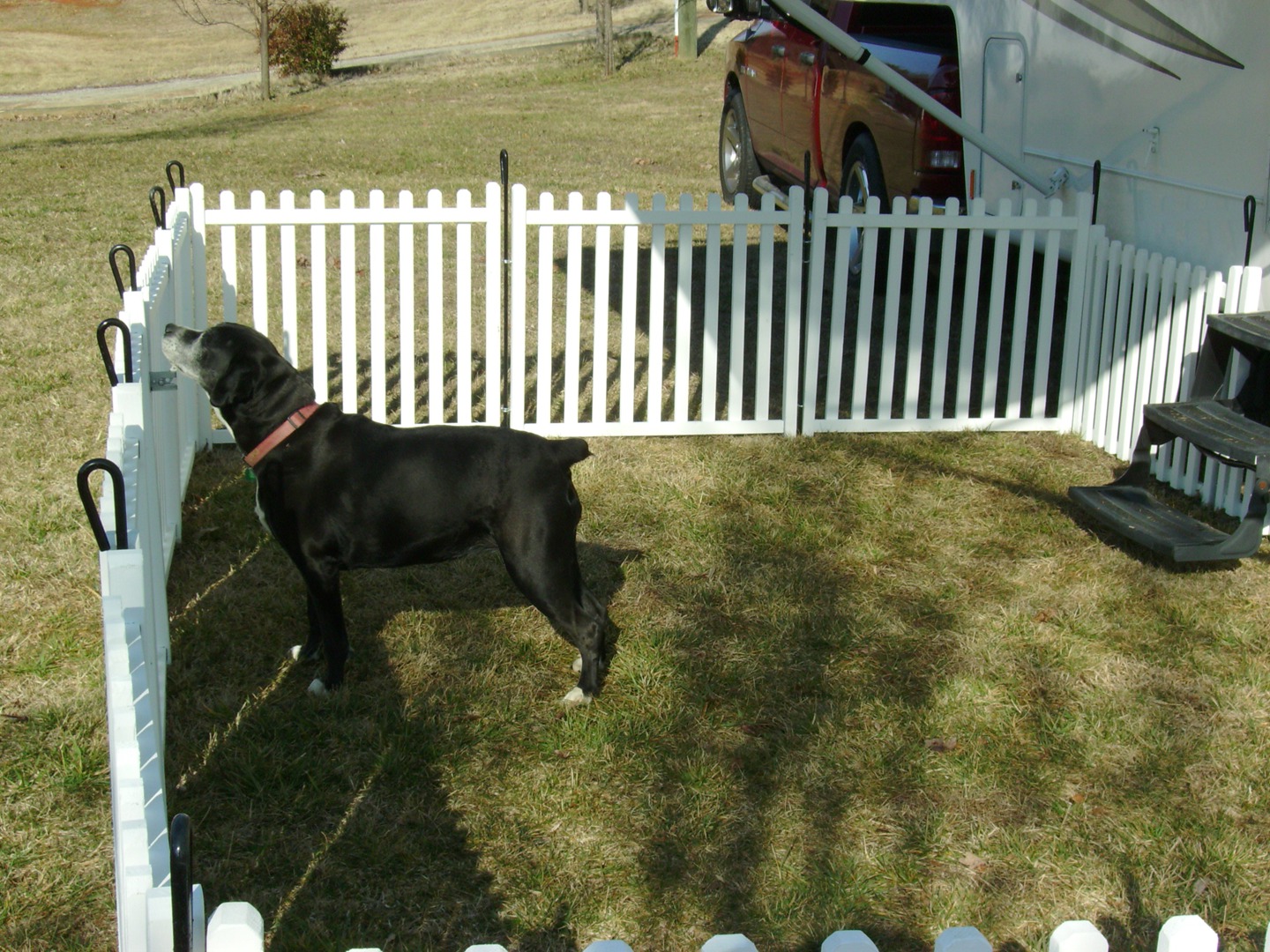 Portable Fencing For Dogs Australia