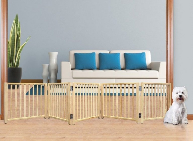 “Portable Fencing For Dogs And 5 Main Topics You Must Know” is locked Portable Fencing For Dogs