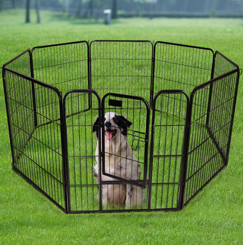 “portable Fencing For Dogs And 5 Main Topics You Must Know” Is Locked