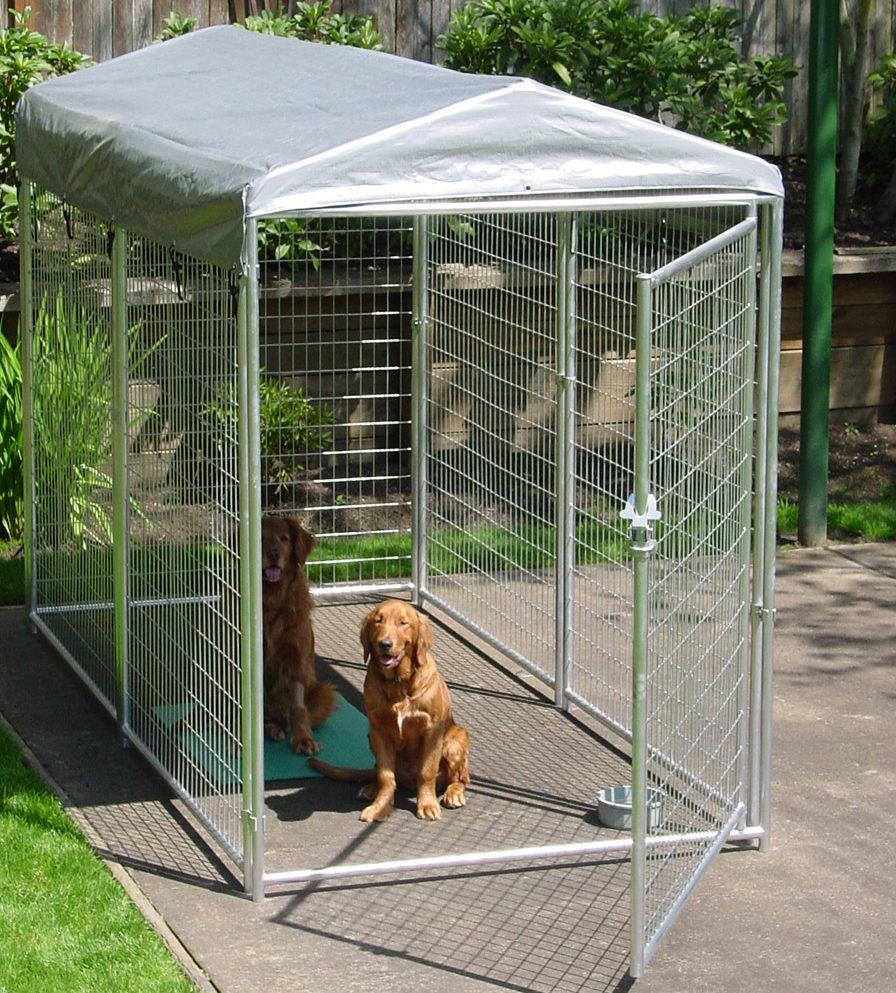 Portable Fencing For Dogs Camping