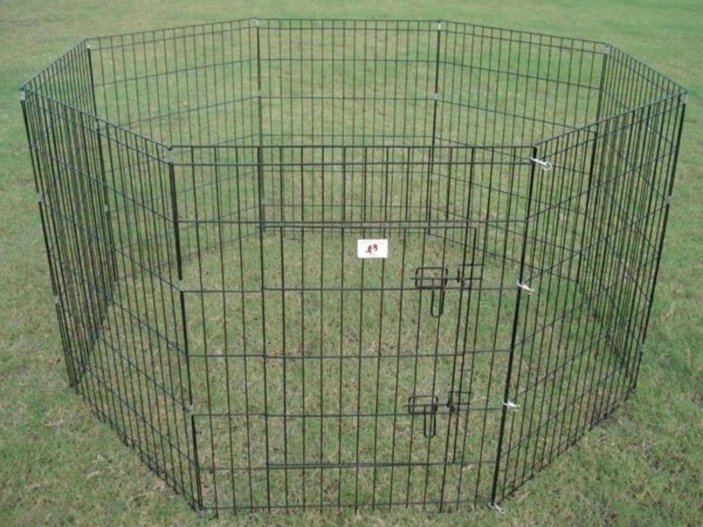 Portable Fencing For Dogs Temporary Lowes Australia Roy Home Design