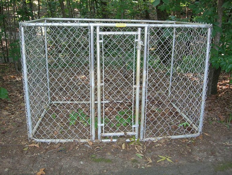 “Portable Fencing For Dogs And 5 Main Topics You Must Know” is locked