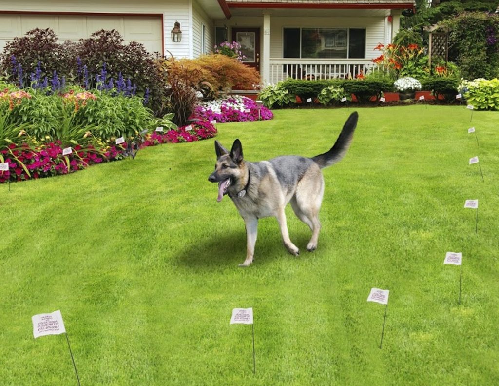 Shock Collar Fence For Dogs With Safe Operation