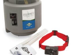 Portable Fencing For Dogs and 5 Main Topics You Must Know