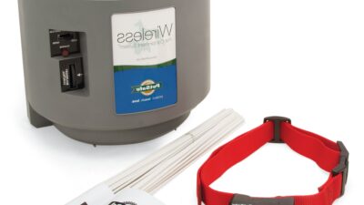 Portable Fencing For Dogs and 5 Main Topics You Must Know