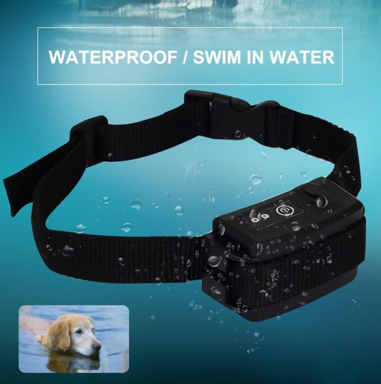 Shock Collar Fence For Dogs With Safe Operation